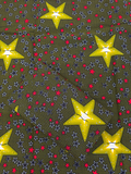 African Wax Print Fabric Star Print Pattern