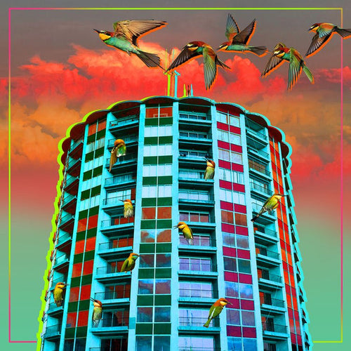 "Bird's Eye View" 12x12 Canvas - 318 Art & Frame